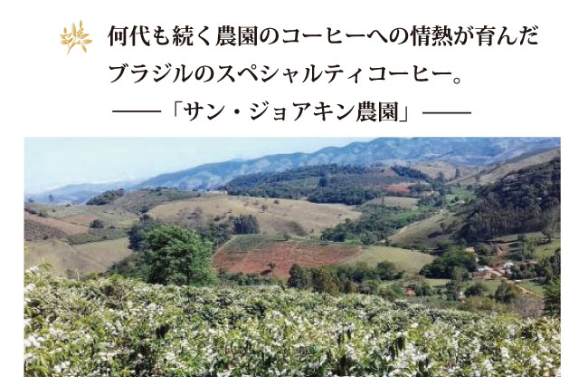ブラジル「サン・ジョアキン農園」001