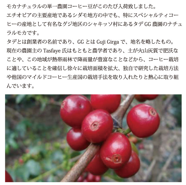 エチオピア・シャキッソ コーヒー説明02