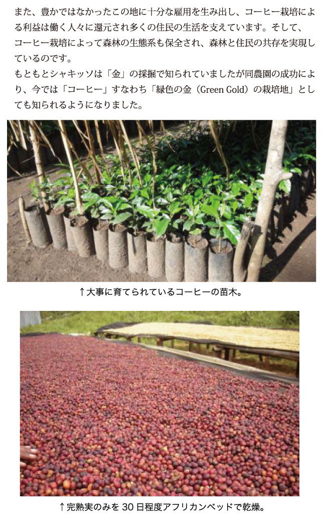 エチオピア・シャキッソ コーヒー説明03