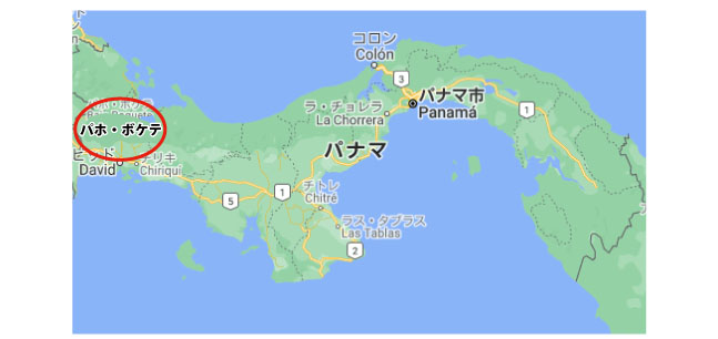 エスメラルダ農園2